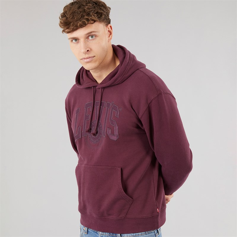 Levi's Mens Relaxed Graphic Hoodie Fig