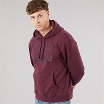 Levi's Mens Relaxed Graphic Hoodie Fig