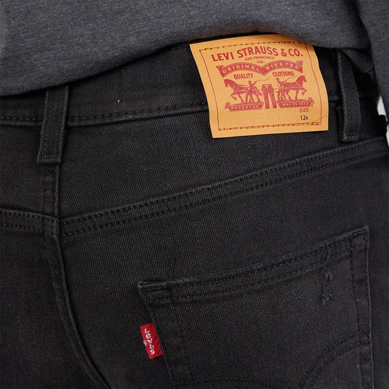 Levi's Boys Stay Loose Taper Jeans Grunge