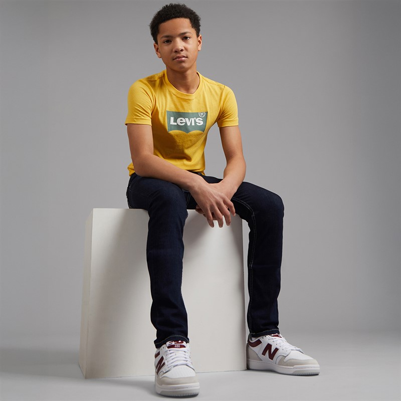 Levi's Boys 510 Skinny Fit Jeans Twin Peaks