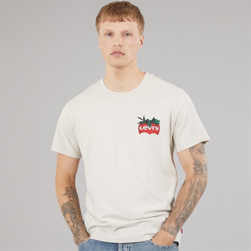 Levi's Mens Relaxed Fit T-Shirt Coastal Creative Fresh And Smooth Pumice Stone