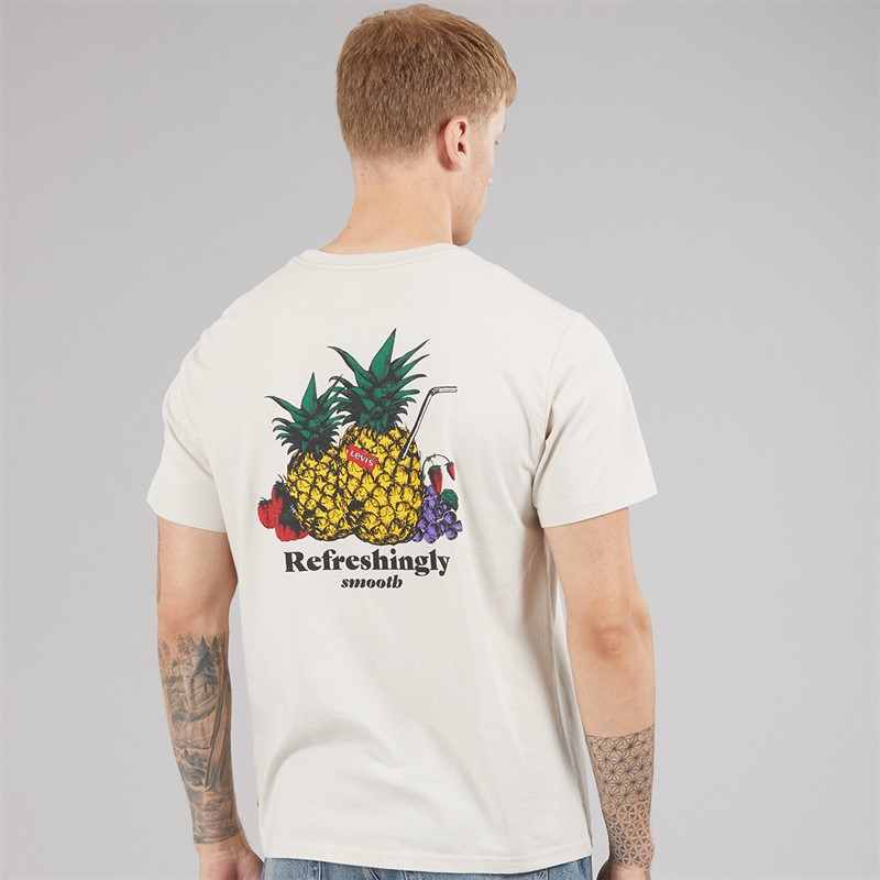 Levi's Mens Relaxed Fit T-Shirt Coastal Creative Fresh And Smooth Pumice Stone