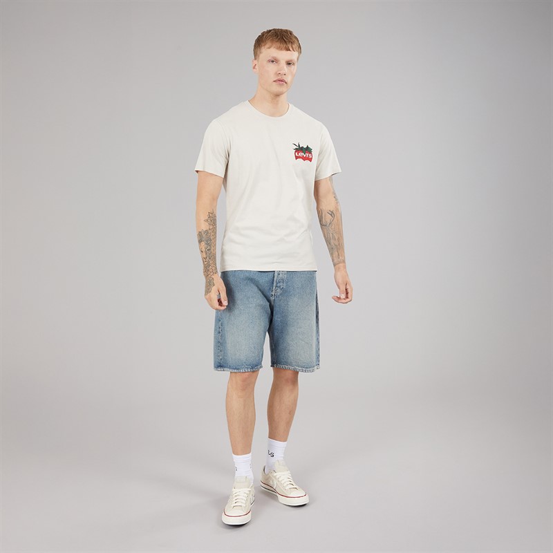 Levi's Mens Relaxed Fit T-Shirt Coastal Creative Fresh And Smooth Pumice Stone