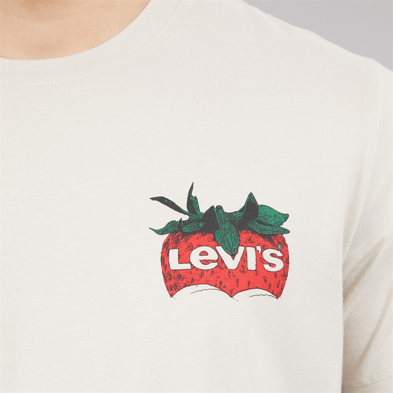 Levi's Mens Relaxed Fit T-Shirt Coastal Creative Fresh And Smooth Pumice Stone