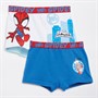 Spiderman Boys Spidey And His Amazing Friends Two Pack Boxers Multi1