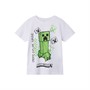 MINECRAFT T-shirt Ramio Garçon Blanc