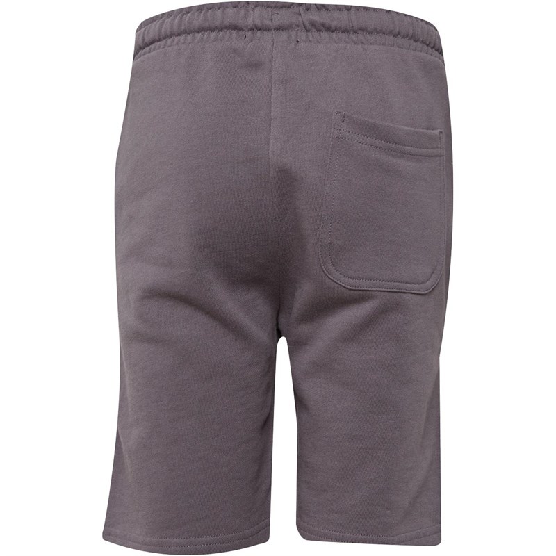 Lyle And Scott Boys Classic LB SweatShorts Pelican Grey
