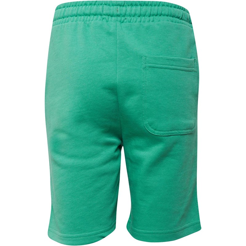 Lyle And Scott Jongens Classic Jersey shorts Groen