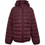 Lyle And Scott Drenge Puffa Dun Bordeaux