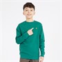 Lyle And Scott Boys Crew Neck Sweatshirt X310 Deep Emerald