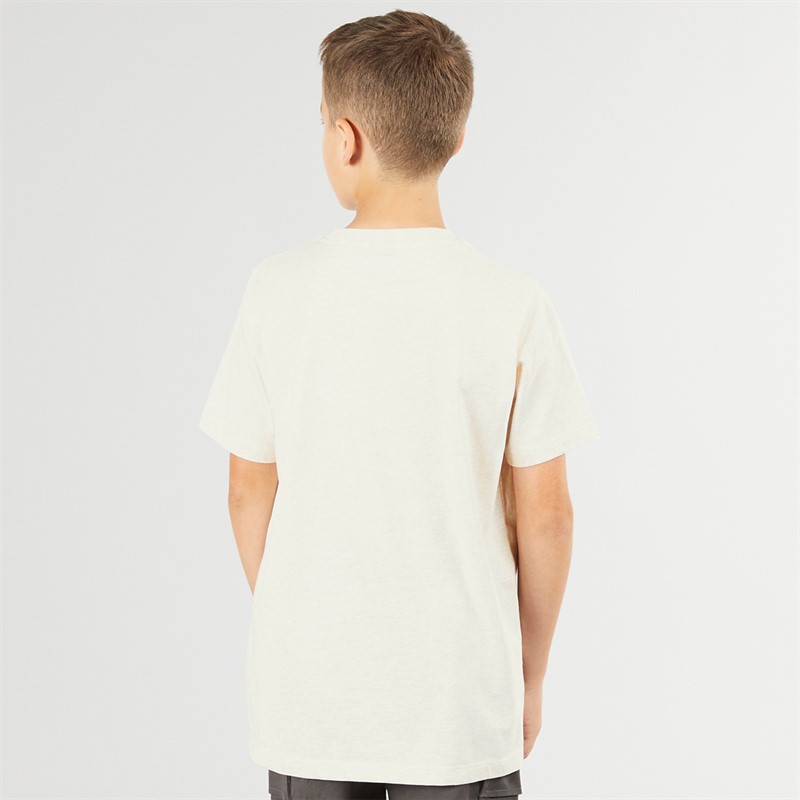 Lyle And Scott Junge Heather T Shirt X834 Natural Marl