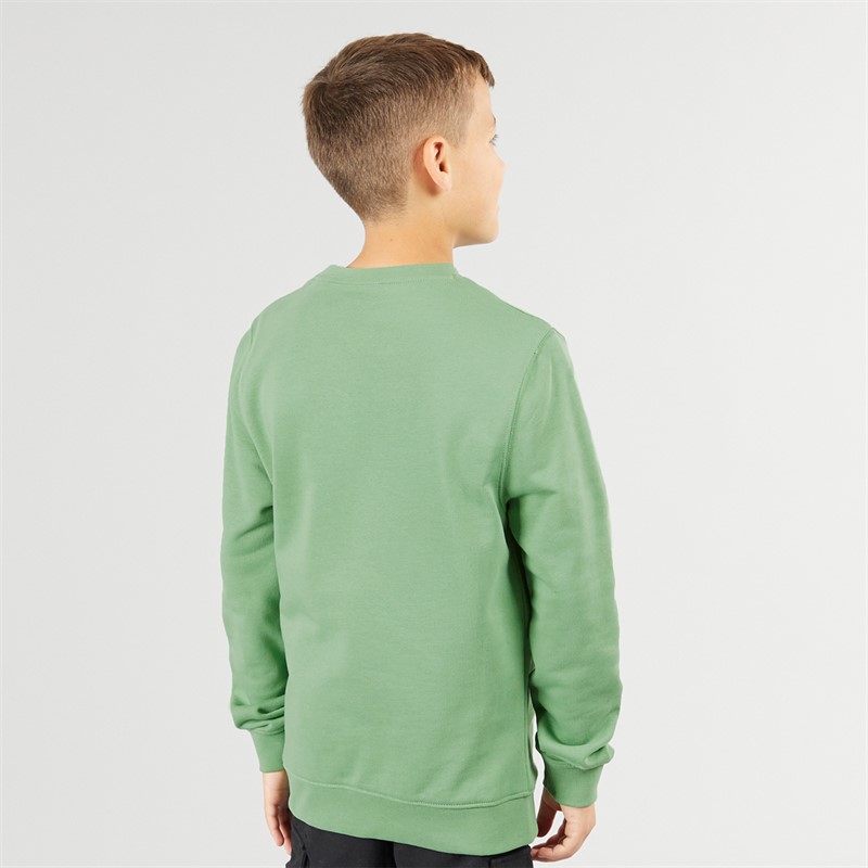 Lyle And Scott Boys Crew Neck Sweatshirt X576 Smoke Green
