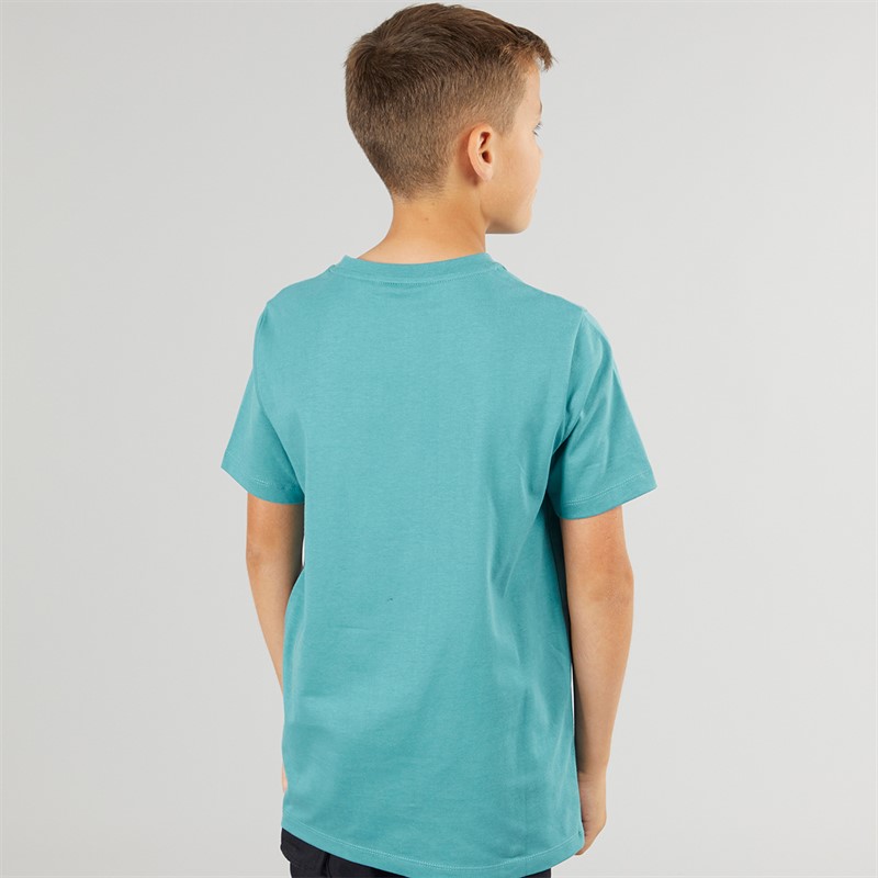 Lyle And Scott Boys Plain T-Shirt X579 Blue Storm