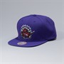 Mitchell & Ness Toronto Raptors NBA Team Ground Snapback Cap Purple/Purple/Green