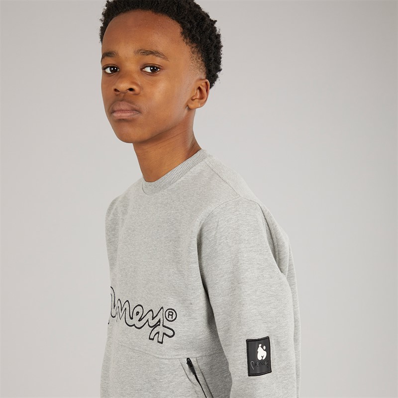Money Bluza z okrągłym dekoltem dla chłopca kolor szary