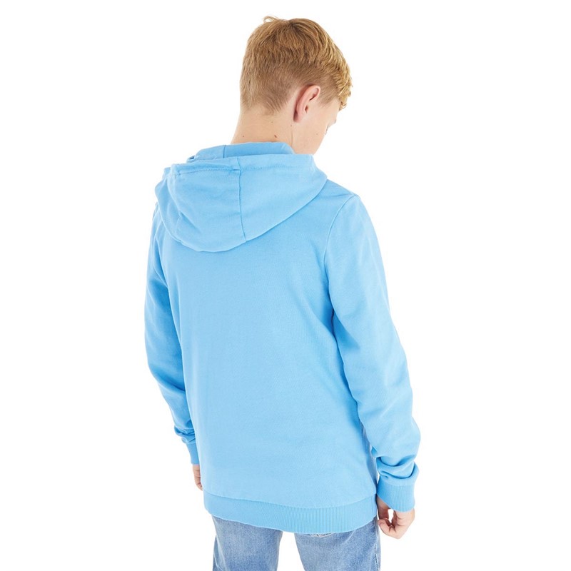 Boys napapijri hoodie sales