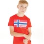 Napapijri Boys Zamora Logo T-Shirt Red Cherry