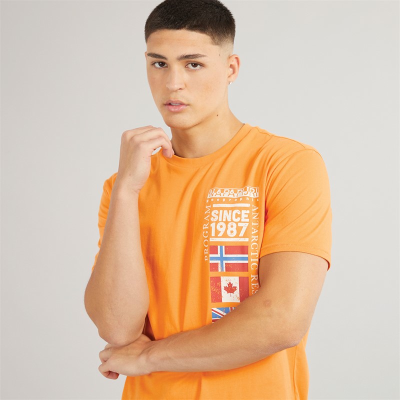 Napapijri Mens Turin Graphic Logo T-Shirt Apricot