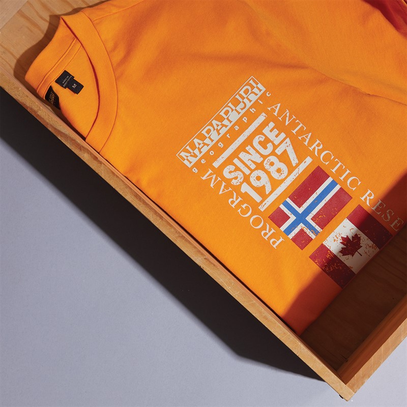 Napapijri Mens Turin Graphic Logo T-Shirt Apricot