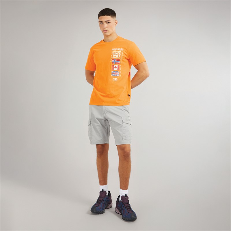 Napapijri Mens Turin Graphic Logo T-Shirt Apricot