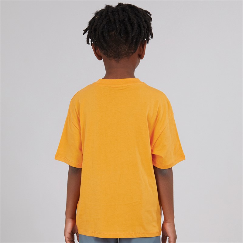 Napapijri Boys Sella Graphic T-Shirt Apricot