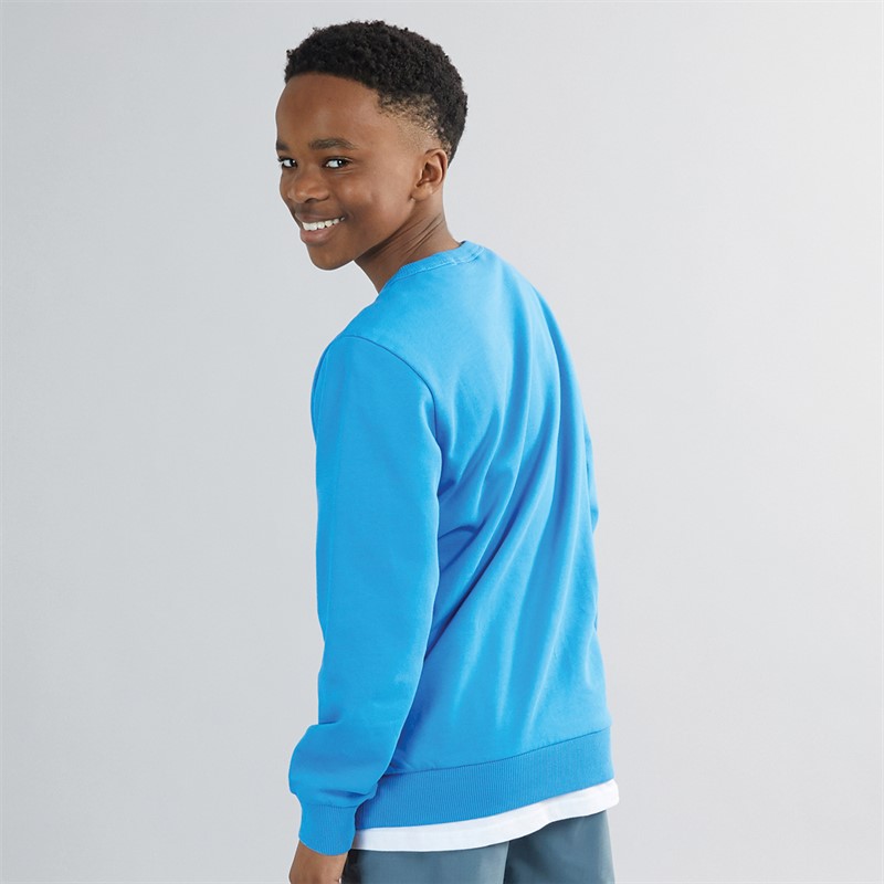 Napapijri Junior Boys Chamois Box Logo Crew Neck Sweatshirt French Blue