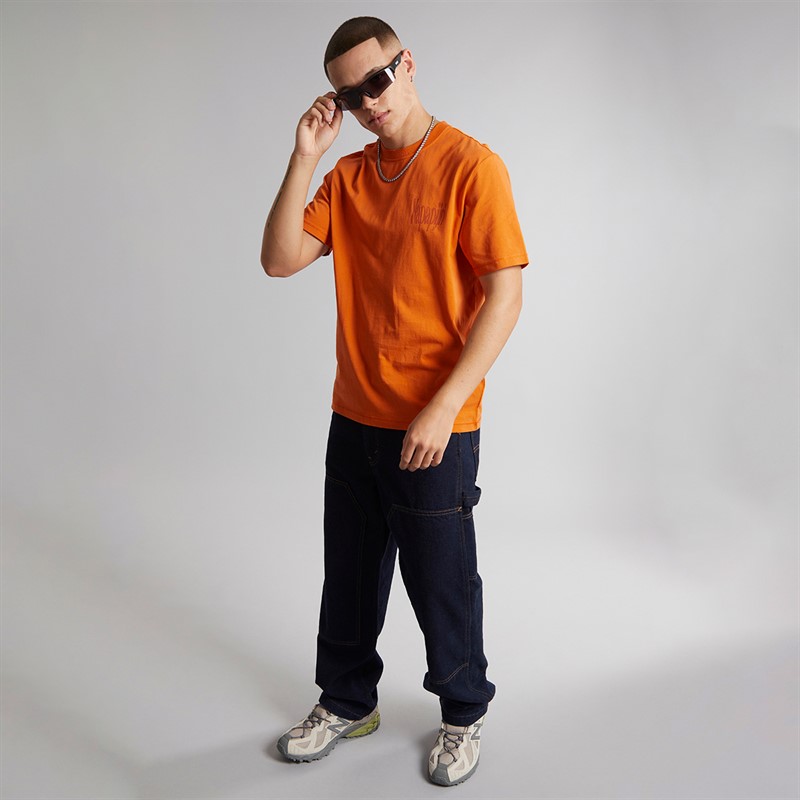 Napapijri Mens Turrach T-Shirt Orange Pumpkin