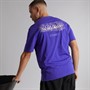 Napapijri Mens Turrach T-Shirt Royal Blue