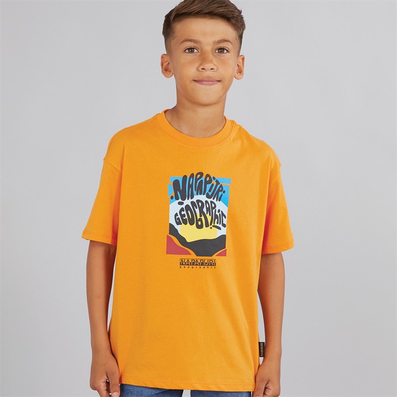 Napapijri Junior Boys Sella Graphic T-Shirt Apricot - Size 14Y