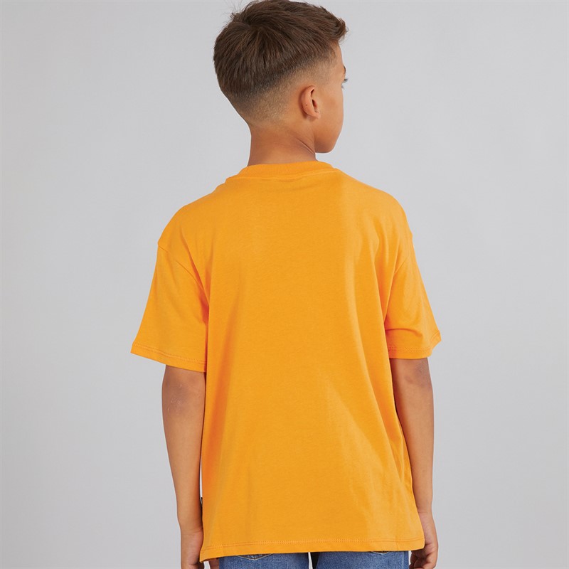 Napapijri Junior Boys Sella Graphic T-Shirt Apricot