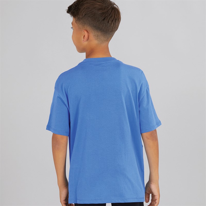 Napapijri Junior Boys Sella Graphic T-Shirt French Blue