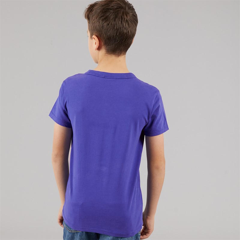 Napapijri Junior Boys Chamois Large Logo T-Shirt Royal Blue