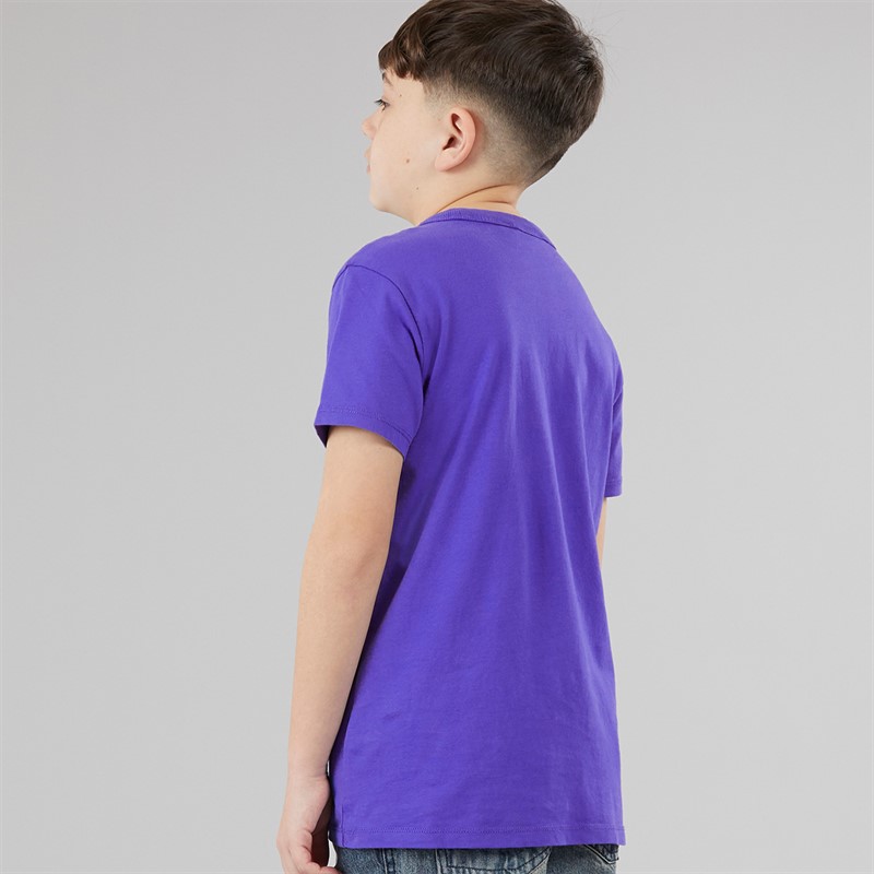 Napapijri Junior Boys Chamois Large Logo T-Shirt Royal Blue