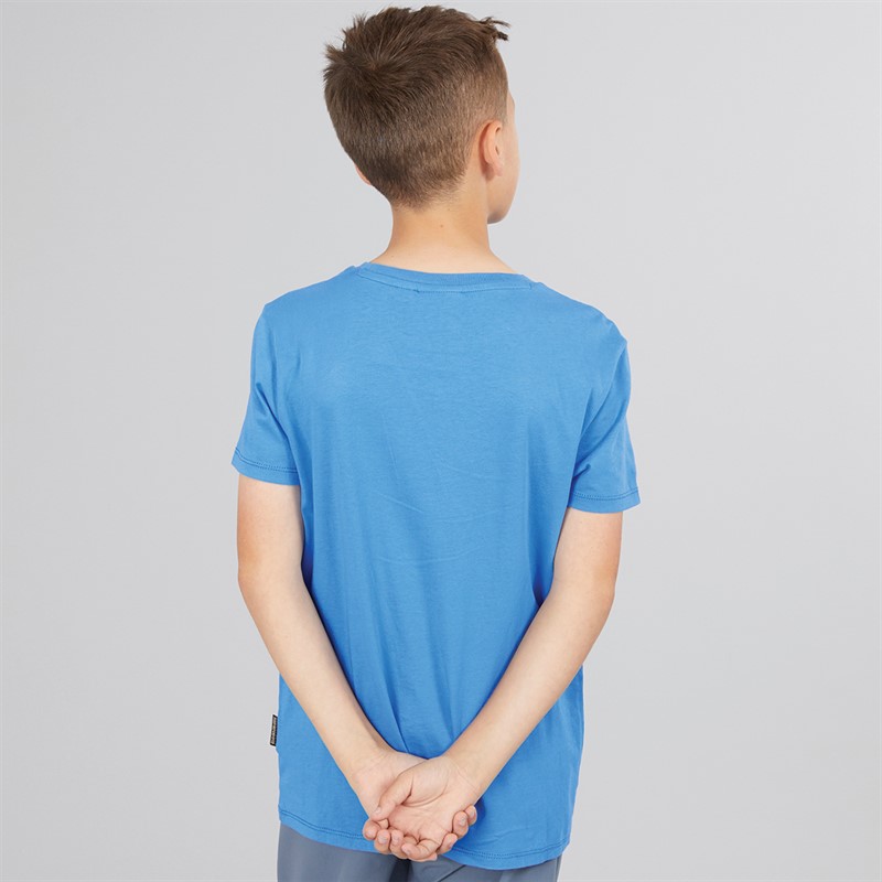 Napapijri Junior Boys Salis Small Logo T-Shirt French Blue