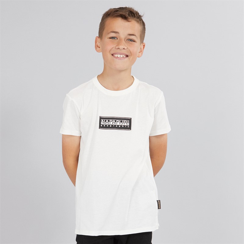 Napapijri Junior Boys Chamois Box Logo T-Shirt White Heron - Size 12Y