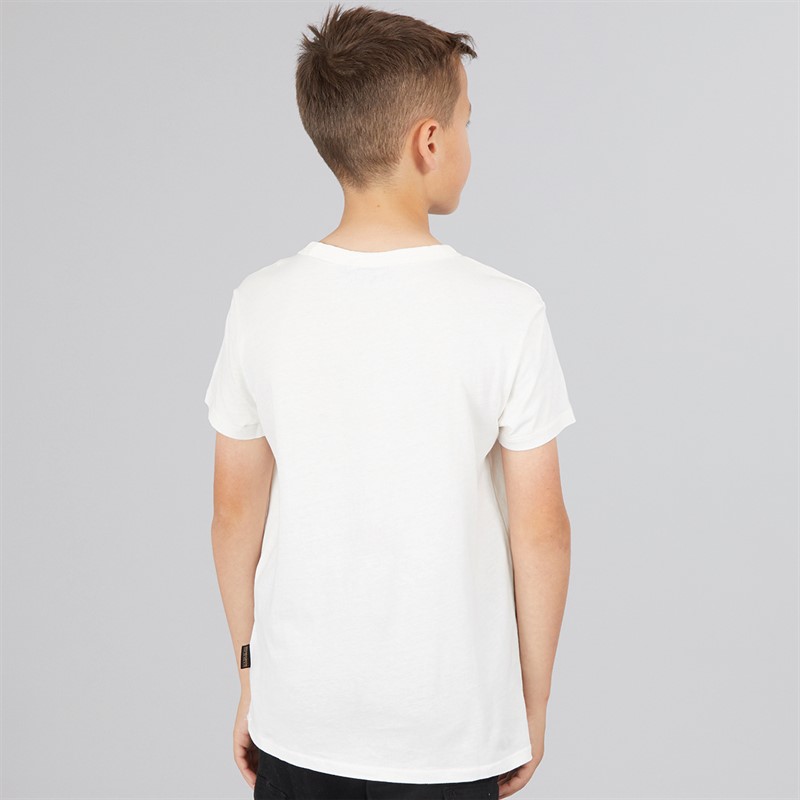 Napapijri Junior Boys Chamois Box Logo T-Shirt White Heron