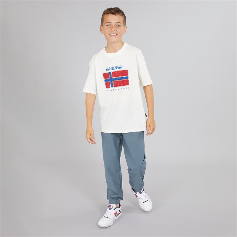 Napapijri Junior Boys Sella Graphic T-Shirt White Heron