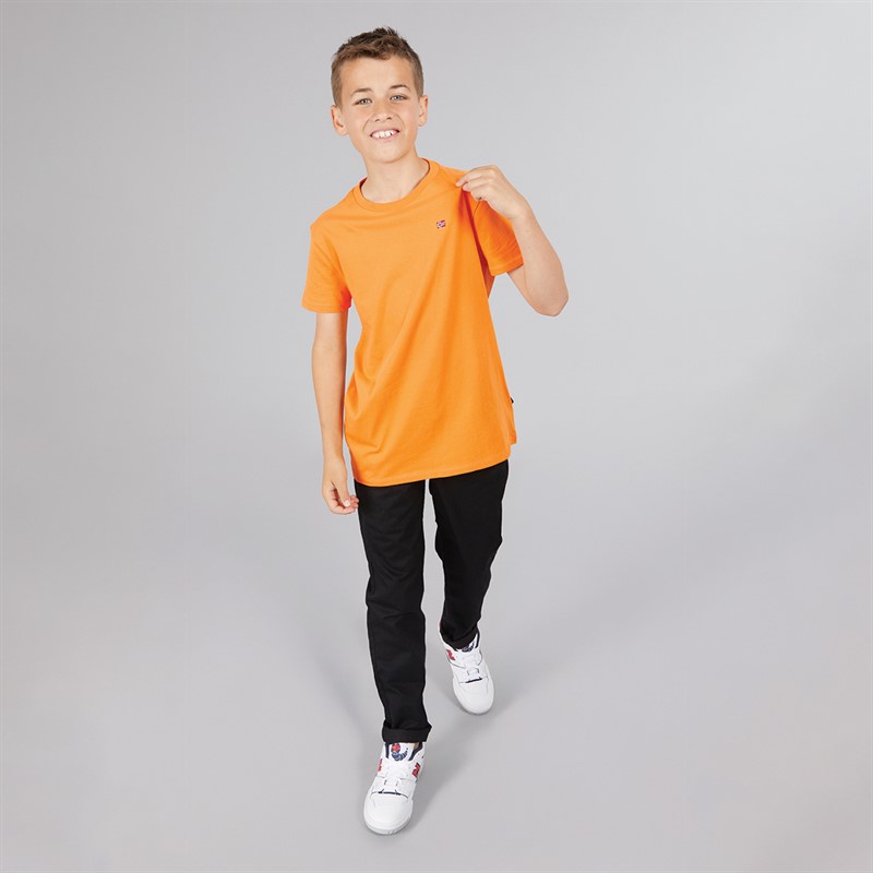Napapijri Junior Boys Salis Small Logo T-Shirt Apricot