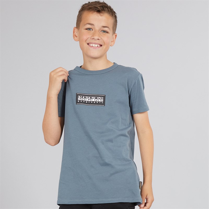 Napapijri Junior Boys Chamois Box Logo T-Shirt Stormy Wheat Grey