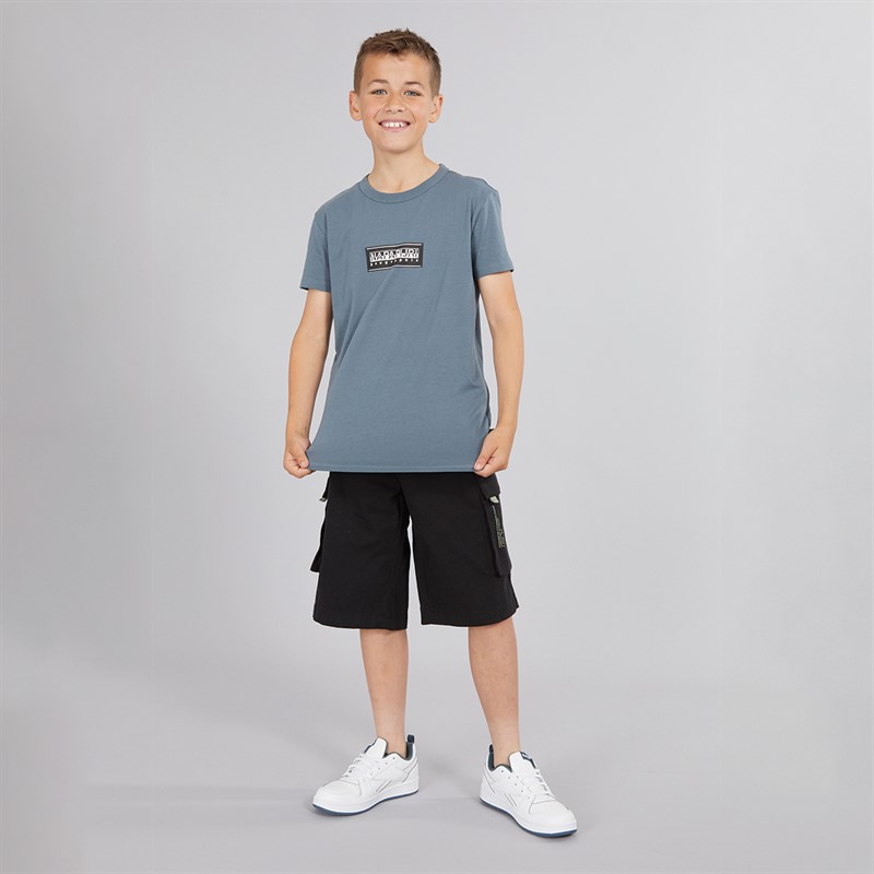 Napapijri Junior Boys Chamois Box Logo T-Shirt Stormy Wheat Grey