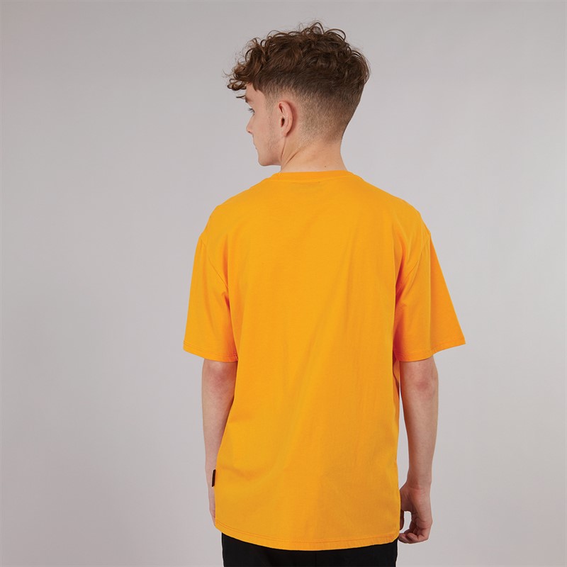 Napapijri Junior Boys Sella Graphic T-Shirt Apricot