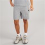 Napapijri Mens Nezy Woven Shorts Shark Skin