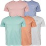 NICCE Herren Kindio T-Shirts Mehrfarbig