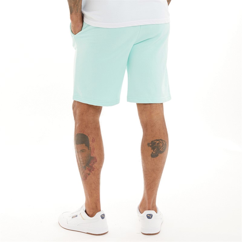 NICCE Mens Fleece Shorts Mint