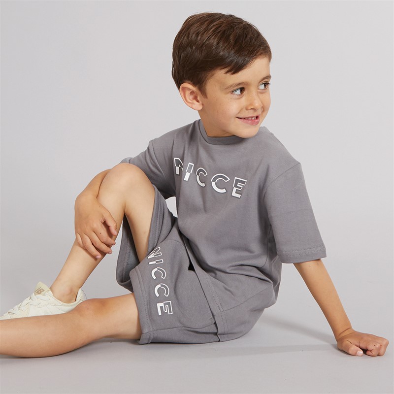 NICCE Boys T-Shirt And Shorts Co-Ord Set Grey - Size 3/4Y