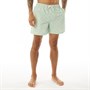 NICCE Męskie Tarcola Szorty Kąpielowe Miętowy