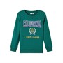 Name It Drenge Nkmlauge Sweatshirts Grøn