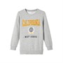 Name It Drenge Nkmlauge Sweatshirts Grå