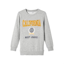 Name It Drenge Nkmlauge Sweatshirts Grå