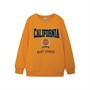 Name It Jungen Nkmlauge Sweatshirts Orange